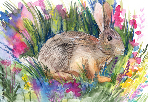 Tablou pe pânză Watercolor and pastel illustration of a hare in flowers, an example for art school and workshops