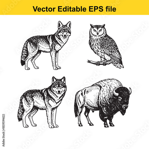  vector illustration of a wolf, owl, and bison in editable eps format for design
