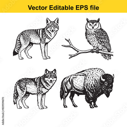  vector illustration of a wolf, owl, and bison in a black and white drawing style