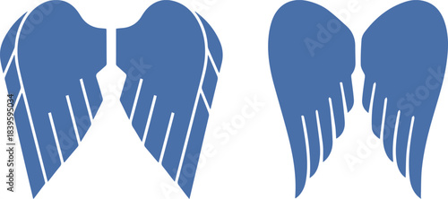 Symmetric Angel Wings Silhouette Icons