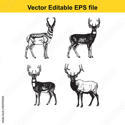  a set of four deer illustrations in various poses and line art styles