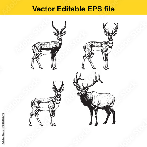  vector illustration of four deer in different poses and styles