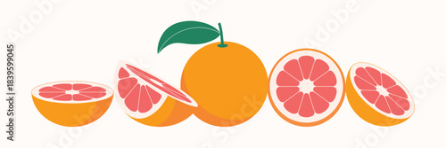 Vibrant collection of fresh grapefruits and slices on a light background