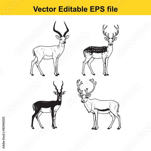  vector illustration of four deer in different poses and styles