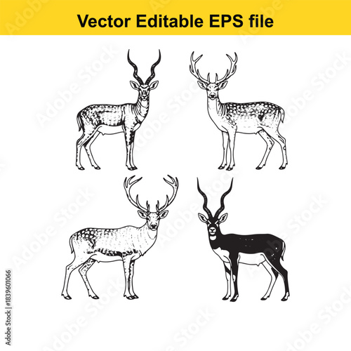  vector illustration of four deer with different line styles and shading techniques