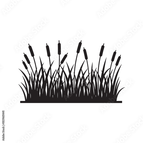 Cattail plants silhouette for wetland and nature design, black vector illustration