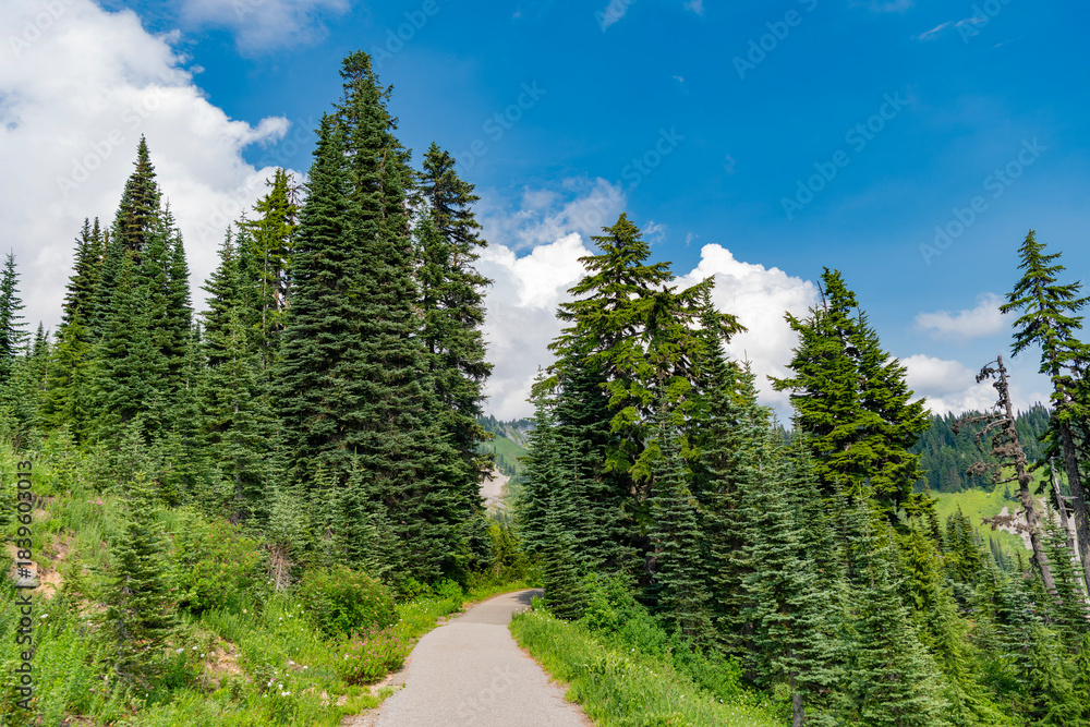 Fototapeta premium Landscape of scenery nature. Scenic landscape woodland. Hill landscape with forest. Nature mountain forest. Green forest wood landscape in mountain. Nature of mixed forest