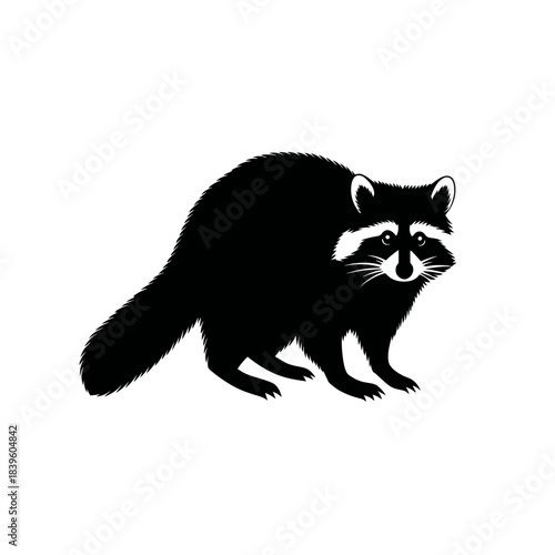 Black and white vector illustration of a raccoon isolated on white background