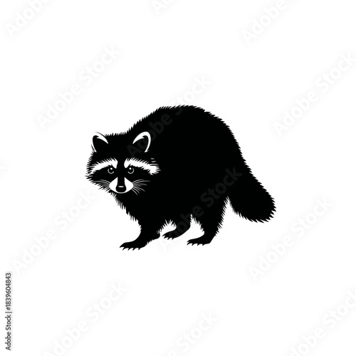 Black and white vector illustration of a raccoon isolated on a white background