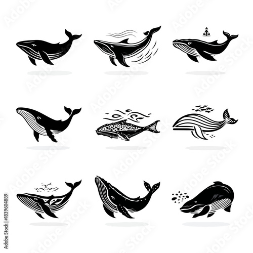Black and white whale illustrations for design and commercial use