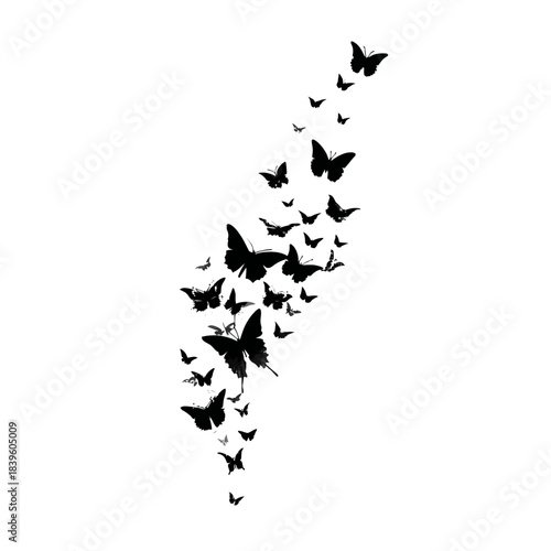 Black butterflies silhouette swarm on white background vector illustration