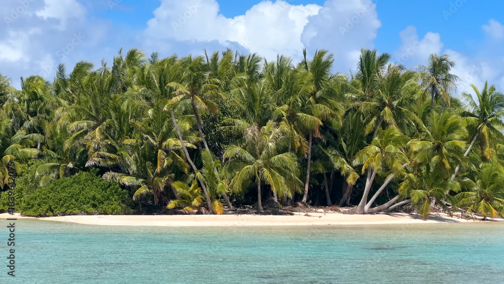 Obraz premium Luxury resort photo of French Polynesia tropical paradise island Fakarava with palm trees. Photography with azure ocean, sky with clouds on horizon. Pacific Ocean.