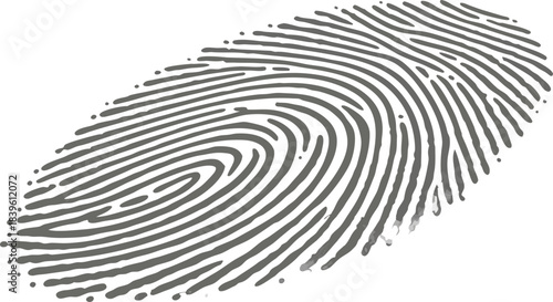 Vector illustration detailed illustration of a human fingerprint pattern, showing whorl and loop characteristics