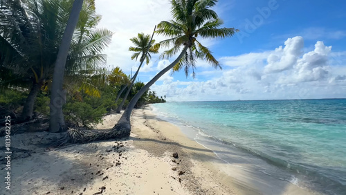 Foto Luxury resort photo of French Polynesia tropical 
paradise island Fakarava with palm trees