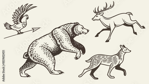 Vector illustration vintage engraving style illustration of various wild animals bear, deer, bird with arrow, and canine figure