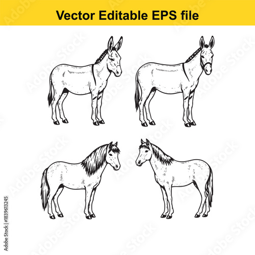 four black and white line drawings of donkeys in different poses vector