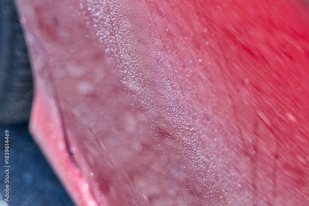 Fototapeta premium Water Droplets Forming On The Surface Of A Red Automobile Exterior.