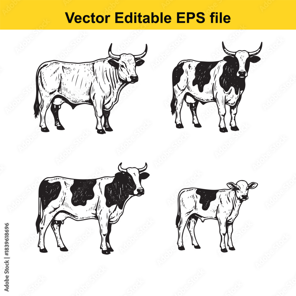 Fototapeta premium vector illustration of four black and white cows in different poses and styles