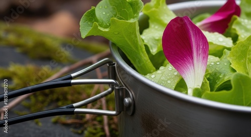 Fresh garden salad in metal pot with lettuce and flower petal outdoors