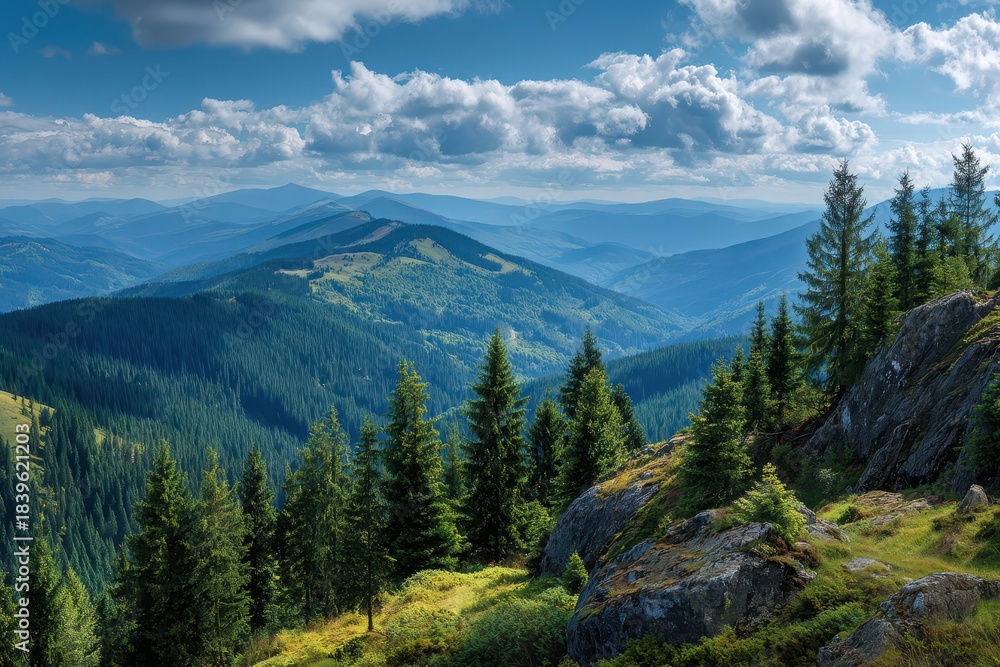 Fototapeta premium Serene Landscape: Breathtaking Panoramic Scene of Untouched Carpathian Wilderness Under a Beautiful Blue Sky