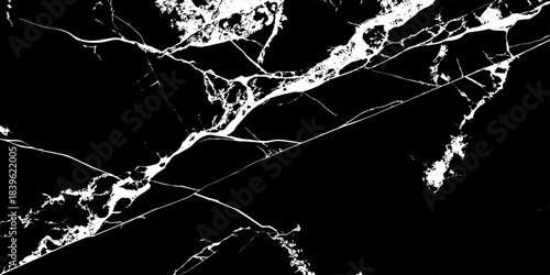 "Elegant black marble texture with striking white veins. Perfect for backgrounds, modern interior design, luxury product mockups, and digital graphics requiring a high-contrast natural stone effect"