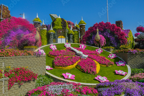 Dubai Miracle Garden is the world's largest natural flower garden