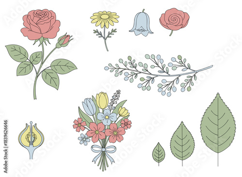 A collection of finely detailed natural sketches of jasmine and mock‑orange blossoms and foliage, hand‑drawn with contour lines against a white background, presented as a vintage‑style botanical
