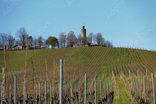 The tower of the Heuchelberg lookout in Leingarten near Heilbronn, Germany, Europe