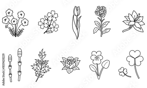 春の草花を集めたモノクロ線画イラストセット
