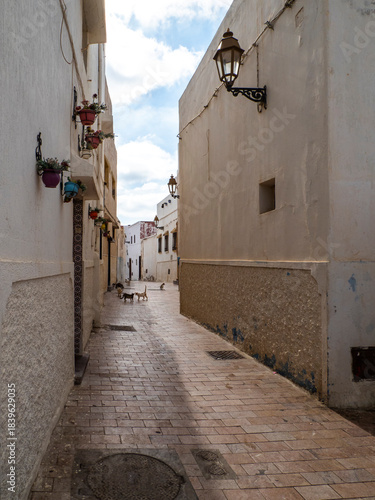 Traditional street, doors of the medina of the Kasbah of the Udayas, also spelled Kasbah of the Oudaias or Oudayas, citadel, fortress, Rabat, Morocco