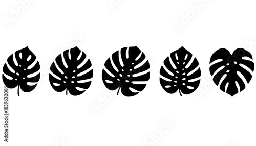 Tropical Monstera Leaf Silhouette