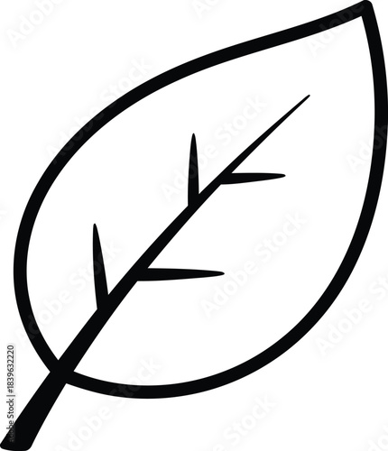 Simple hand drawn outline of a single oval shaped leaf