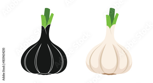 Black and white garlic bulbs with green stalks a visual comparison