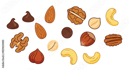 A colorful assortment of various nuts and seeds displayed on a white background