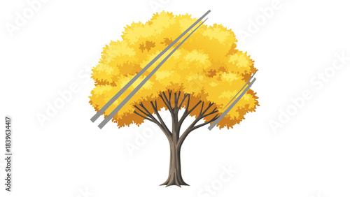 A Vibrant Yellow Autumn Tree with Detailed Bark and Textured Leaves Set Against a Transparent Background
