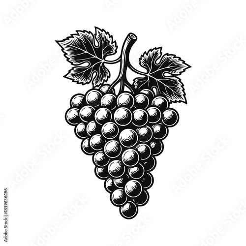 A bunch of grapes in clean vector style with plump berries and a leafy stem. grape bunch, fruit cluster, fresh grapes, vineyard fruit, natural produce