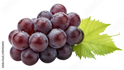Fresh dark grapes with water droplets and green leaf isolated PNG, juicy fruit for healthy eating and summer dessert