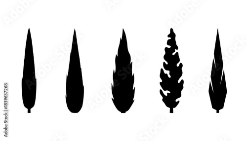 Cypress Tree Landscape Model Silhouette