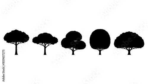 Stylized Deciduous Tree Silhouette Element