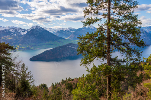 Landscape of Lake and Mountain.  Swiss Alps, Rigi Kulm, Lucerne, Switzerland.