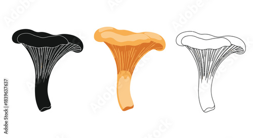 Three renderings of a chanterelle mushroom in different color schemes