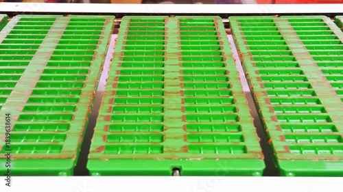 Green empty molds for chocolate bars move along a conveyor belt towards a filling machine in a modern food production factory, demonstrating the automated process.