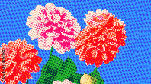 Colorful dahlia flowers in vibrant shades of pink, red, and orange against a bright blue background, showcasing their intricate petals and lush green leaves, perfect for floral design concepts