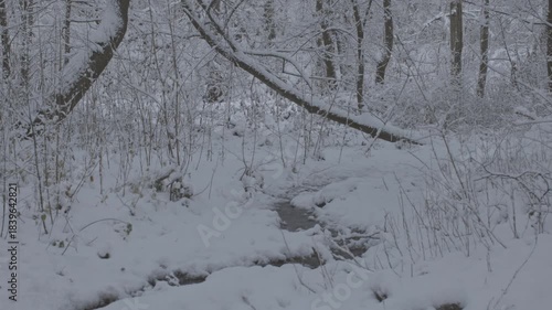 A serene and tranquil winter scene featuring a snowcovered stream gently winding through a beautiful forest