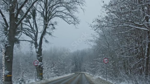A beautiful, serene winter landscape features a snowy road winding through frosty trees in a peaceful, tranquil setting
