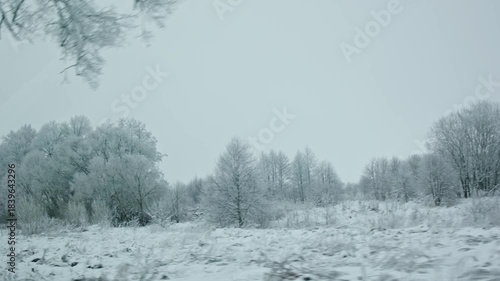 A serene and tranquil winter scene showcasing frosty trees standing tall beneath a beautiful blanket of fresh snow