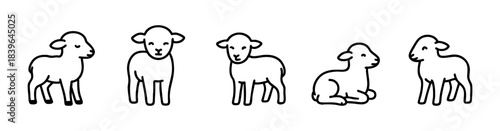 A playful, simplistic line drawing of a lamb, featuring various poses such as standing, sitting, and resting, in a light color scheme.