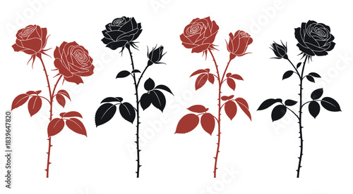 Silhouette of red and black roses with leaves and thorns on white background flower