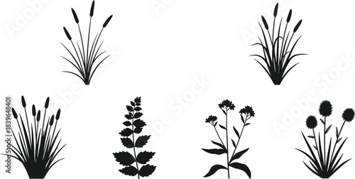 Collection of Black Silhouettes of Wetland Plants and Wildflowers white background
