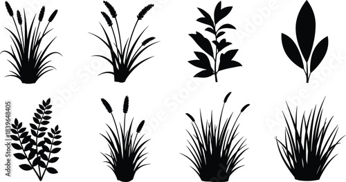 Collection of black silhouettes of various plants and grasses on white background